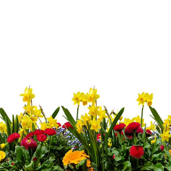 Spring